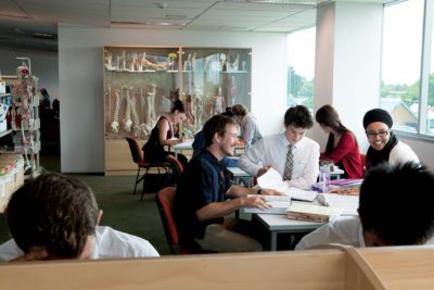 Students in library